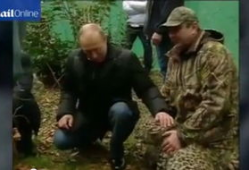 爱抚视频,探索情感交融的视觉艺术